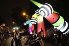 Lampadophores 31 * 6240 x 4160 * (7.2MB)